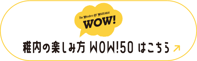 稚内の楽しみ方 WOW!50 はこちら